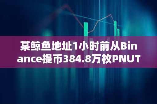 某鯨魚(yú)地址1小時(shí)前從Binance提幣384.8萬(wàn)枚PNUT