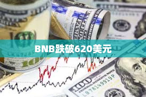 BNB跌破620美元