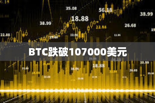 BTC跌破107000美元