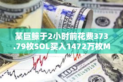 某巨鯨于2小時(shí)前花費(fèi)373.79枚SOL買(mǎi)入1472萬(wàn)枚MURAD，目前已浮虧78%
