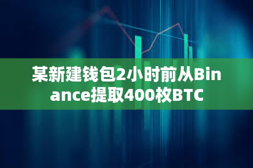 某新建錢包2小時前從Binance提取400枚BTC