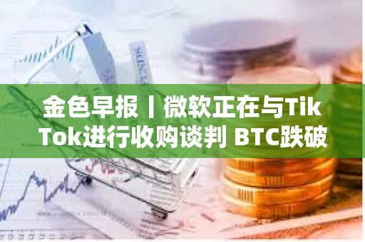 金色早報丨微軟正在與TikTok進行收購談判 BTC跌破102000美元