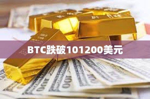 BTC跌破101200美元