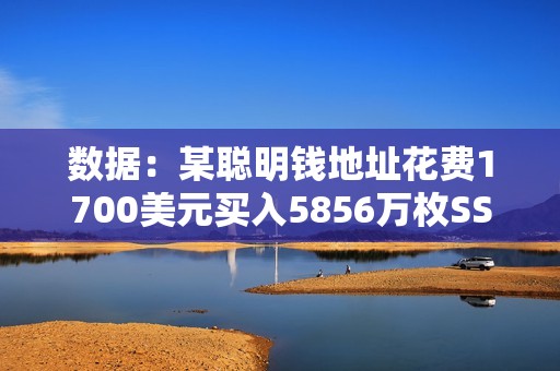 數(shù)據(jù)：某聰明錢地址花費1700美元買入5856萬枚SSE，現(xiàn)浮盈242萬美元