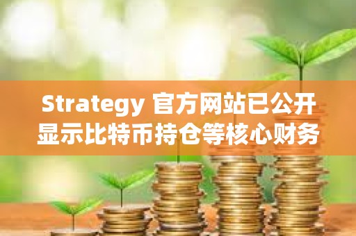 Strategy 官方網站已公開顯示比特幣持倉等核心財務數據