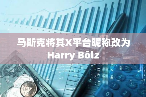 馬斯克將其X平臺(tái)昵稱改為Harry Bōlz