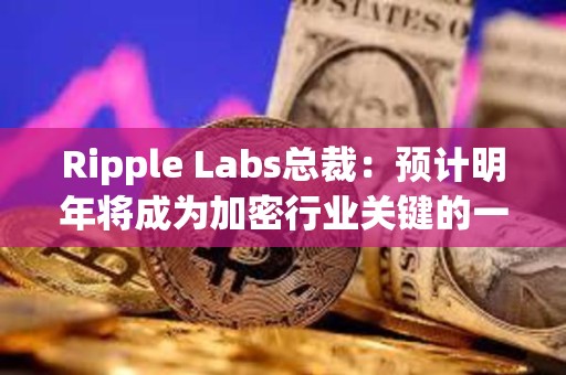 Ripple Labs總裁：預(yù)計(jì)明年將成為加密行業(yè)關(guān)鍵的一年
