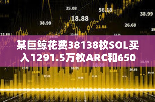 某巨鯨花費(fèi)38138枚SOL買入1291.5萬枚ARC和650萬枚ai16z