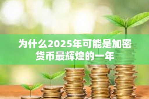 為什么2025年可能是加密貨幣最輝煌的一年