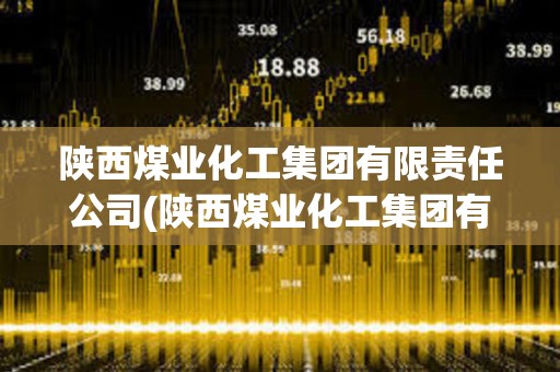 陜西煤業(yè)化工集團(tuán)有限責(zé)任公司(陜西煤業(yè)化工集團(tuán)有限責(zé)任公司董事長) 陜西煤業(yè)化工集團(tuán)有限責(zé)任公司(陜西煤業(yè)化工集團(tuán)有限責(zé)任公司董事長)