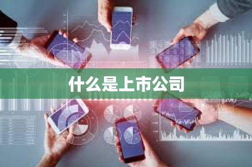 什么是上市公司