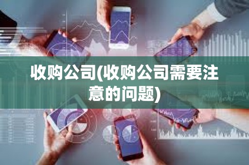 收購公司(收購公司需要注意的問題)