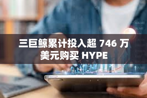 三巨鯨累計(jì)投入超 746 萬美元購買 HYPE