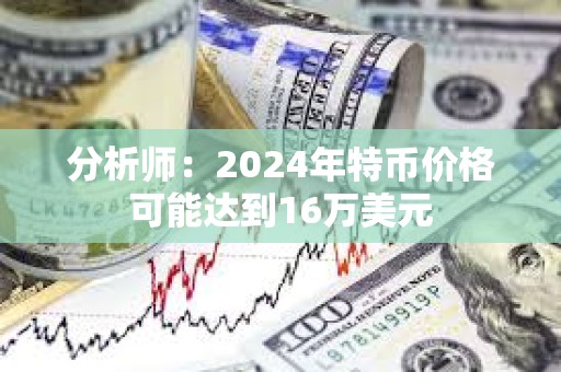分析師：2024年特幣價格可能達到16萬美元