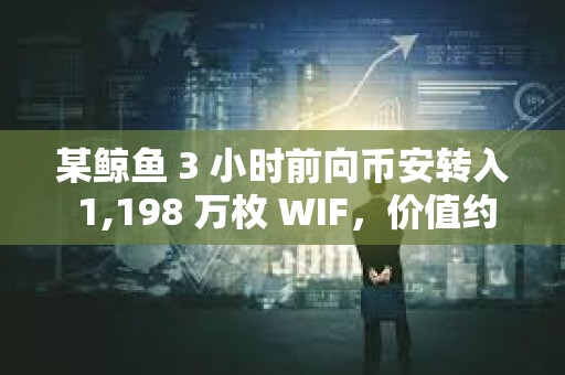 某鯨魚 3 小時前向幣安轉入 1,198 萬枚 WIF，價值約 1,750 萬美元