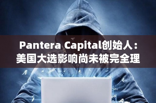 Pantera Capital創始人：美國大選影響尚未被完全理解，也沒有被BTC價格計價