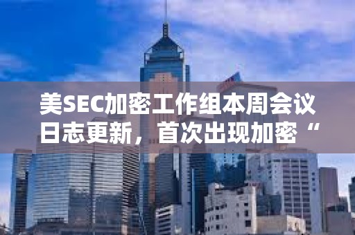 美SEC加密工作組本周會議日志更新，首次出現(xiàn)加密“批評者”參與