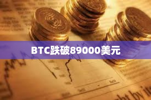BTC跌破89000美元