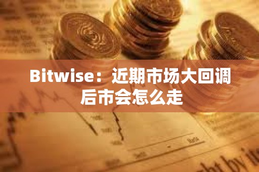 Bitwise：近期市場大回調 后市會怎么走