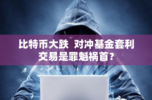 比特幣大跌  對沖基金套利交易是罪魁禍?zhǔn)祝?></a>
					</div>
					<div   id=