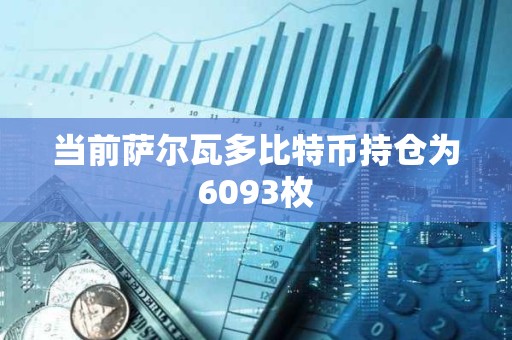 當(dāng)前薩爾瓦多比特幣持倉為6093枚