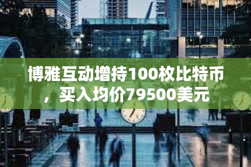 博雅互動增持100枚比特幣，買入均價79500美元