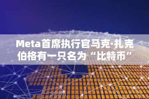 Meta首席執行官馬克·扎克伯格有一只名為“比特幣”的寵物山羊