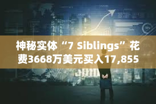 神秘實體“7 Siblings”花費3668萬美元買入17,855.3枚ETH