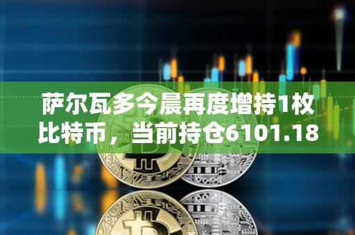 薩爾瓦多今晨再度增持1枚比特幣，當前持倉6101.18枚