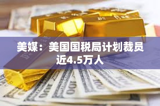 美媒：美國(guó)國(guó)稅局計(jì)劃裁員近4.5萬人