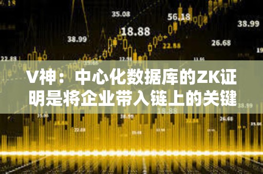 V神：中心化數(shù)據(jù)庫的ZK證明是將企業(yè)帶入鏈上的關(guān)鍵