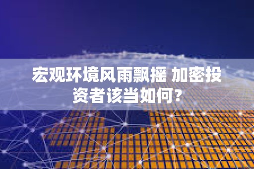 宏觀環境風雨飄搖 加密投資者該當如何？