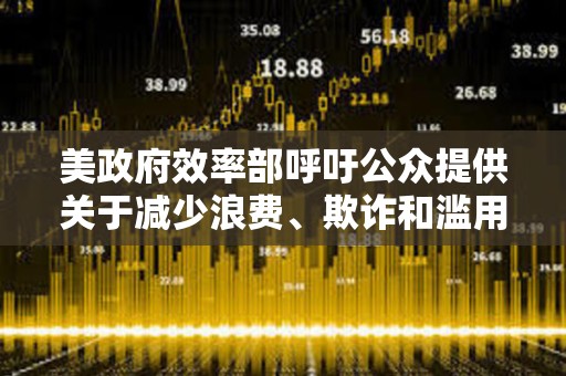 美政府效率部呼吁公眾提供關于減少浪費、欺詐和濫用的想法