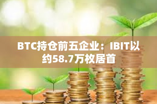 BTC持倉前五企業：IBIT以約58.7萬枚居首
