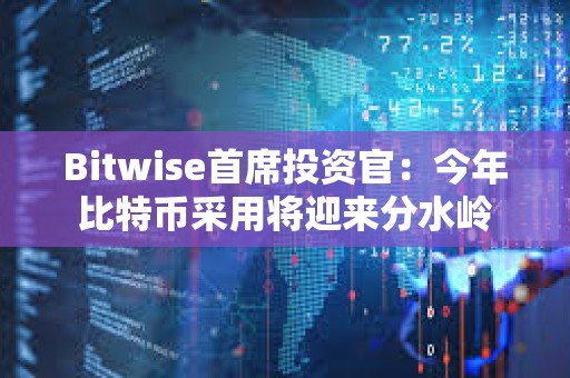 Bitwise首席投資官：今年比特幣采用將迎來分水嶺