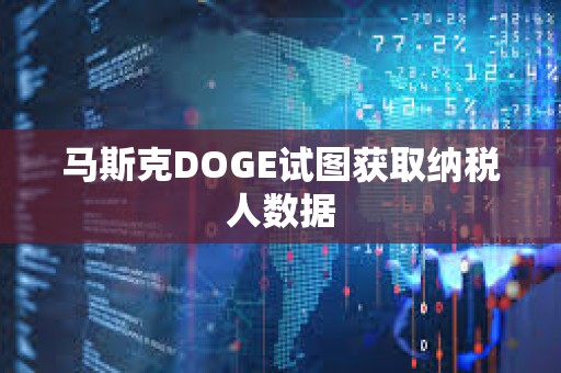 馬斯克DOGE試圖獲取納稅人數據