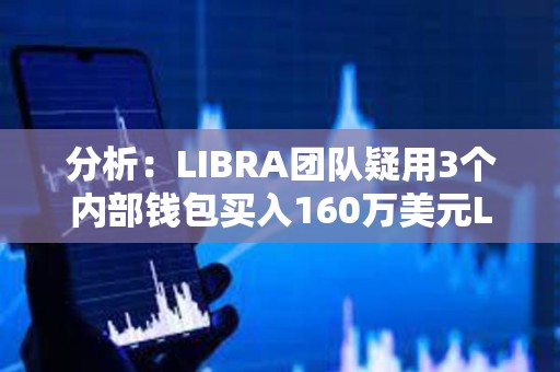 分析：LIBRA團(tuán)隊(duì)疑用3個內(nèi)部錢包買入160萬美元LIBRA，獲利665萬美元