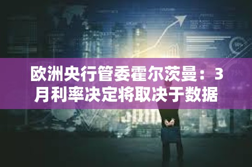 歐洲央行管委霍爾茨曼：3月利率決定將取決于數據