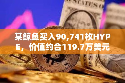某鯨魚買入90,741枚HYPE，價值約合119.7萬美元