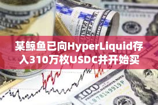 某鯨魚已向HyperLiquid存入310萬枚USDC并開始買入HYPE