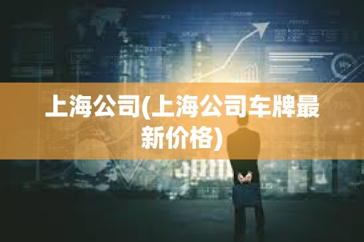 上海公司(上海公司車牌最新價格)