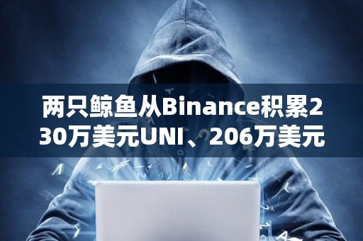 兩只鯨魚(yú)從Binance積累230萬(wàn)美元UNI、206萬(wàn)美元MKR和1390萬(wàn)美元AUCTION
