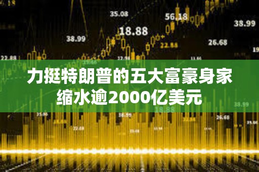 力挺特朗普的五大富豪身家縮水逾2000億美元