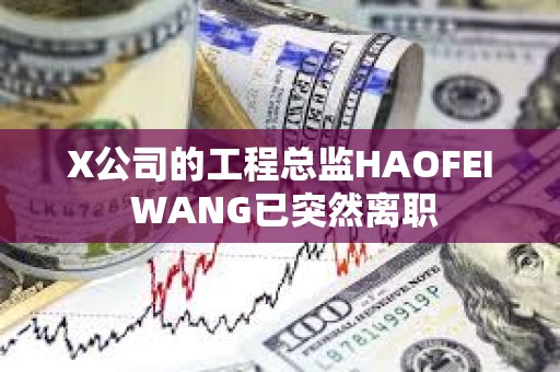 X公司的工程總監(jiān)HAOFEI WANG已突然離職