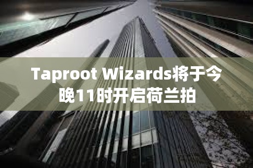 Taproot Wizards將于今晚11時開啟荷蘭拍