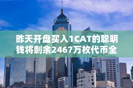 昨天開盤買入1CAT的聰明錢將剩余2467萬枚代幣全部質押