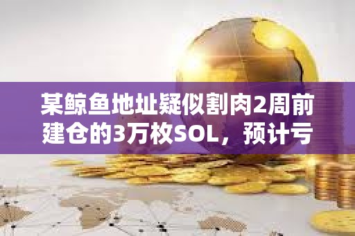 某鯨魚地址疑似割肉2周前建倉的3萬枚SOL，預計虧損45.6萬美元