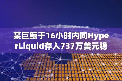 某巨鯨于16小時內向HyperLiquid存入737萬美元穩定幣并增持40萬枚HYPE