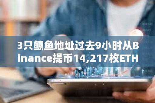 3只鯨魚地址過去9小時從Binance提幣14,217枚ETH，或正通過Aave做多ETH