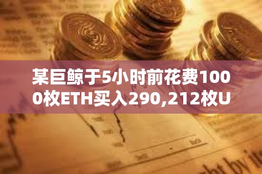 某巨鯨于5小時前花費1000枚ETH買入290,212枚UNI